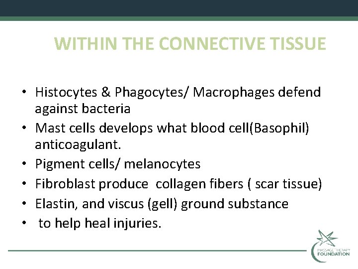 WITHIN THE CONNECTIVE TISSUE • Histocytes & Phagocytes/ Macrophages defend against bacteria • Mast