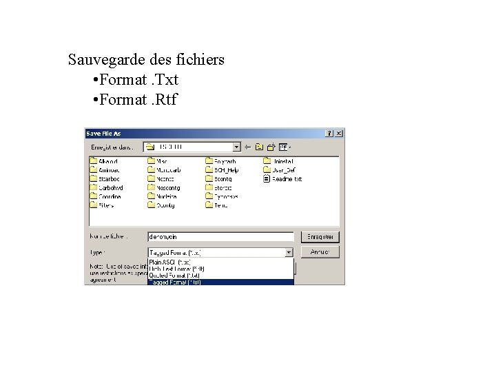 Sauvegarde des fichiers • Format. Txt • Format. Rtf 