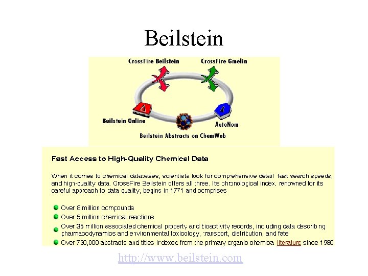 Beilstein http: //www. beilstein. com 