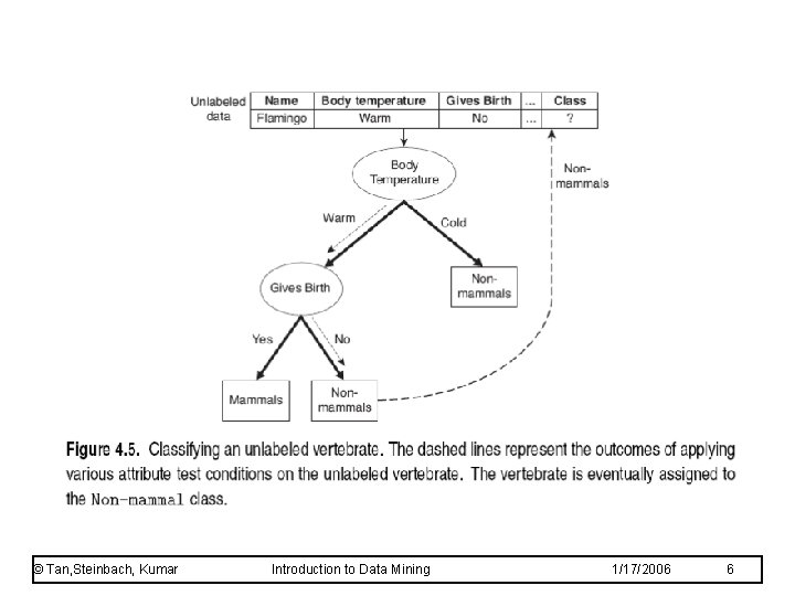 © Tan, Steinbach, Kumar Introduction to Data Mining 1/17/2006 6 