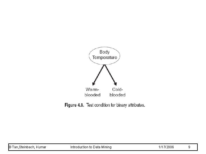 © Tan, Steinbach, Kumar Introduction to Data Mining 1/17/2006 9 