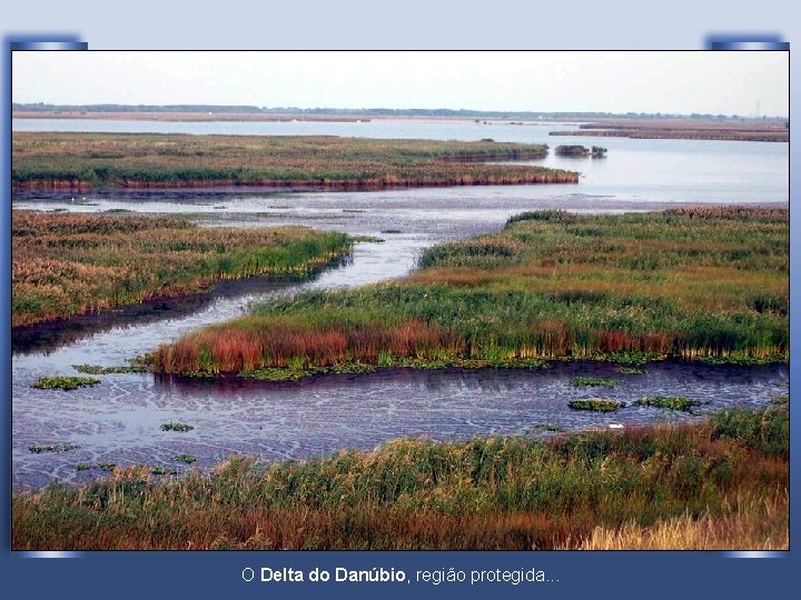 O Delta do Danúbio, região protegida. . . 