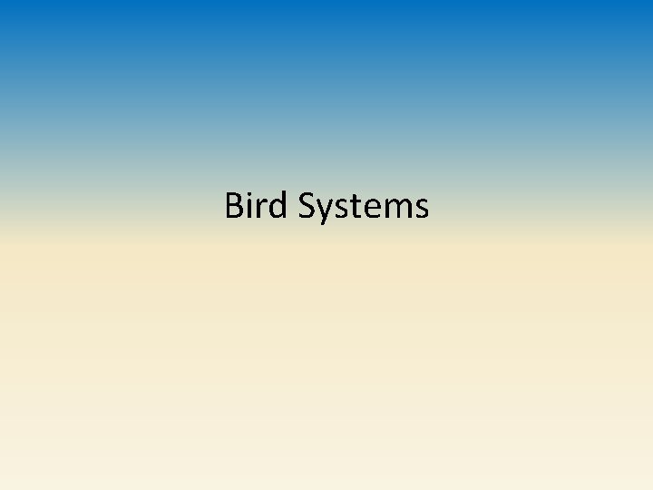 Bird Systems 