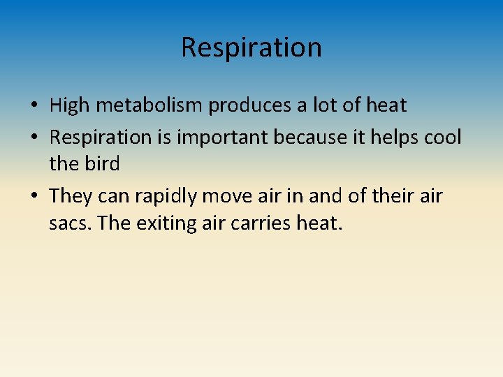 Respiration • High metabolism produces a lot of heat • Respiration is important because