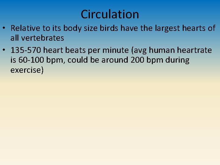 Circulation • Relative to its body size birds have the largest hearts of all