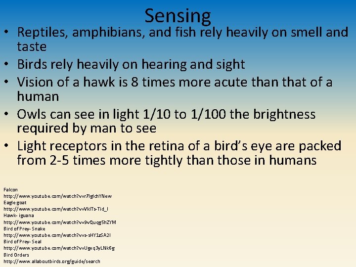 Sensing • Reptiles, amphibians, and fish rely heavily on smell and taste • Birds