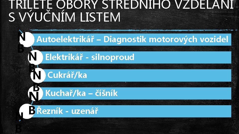 TŘÍLETÉ OBORY STŘEDNÍHO VZDĚLÁNÍ S VÝUČNÍM LISTEM N B Autoelektrikář – Diagnostik motorových vozidel