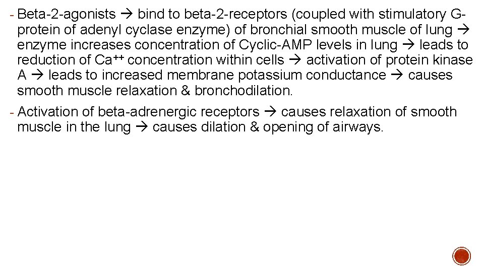 - Beta-2 -agonists bind to beta-2 -receptors (coupled with stimulatory G- protein of adenyl
