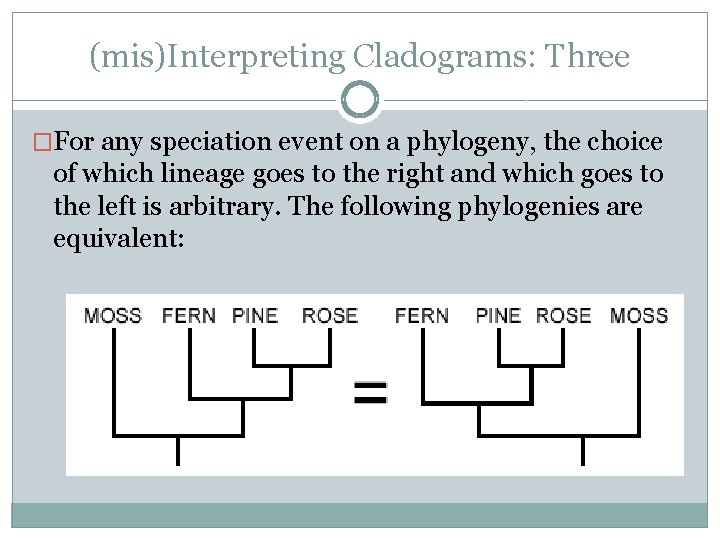 (mis)Interpreting Cladograms: Three �For any speciation event on a phylogeny, the choice of which