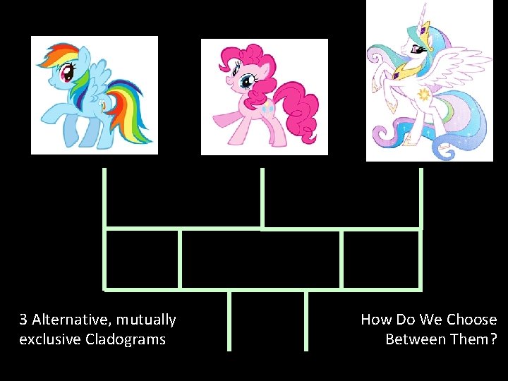 3 Alternative, mutually exclusive Cladograms How Do We Choose Between Them? 