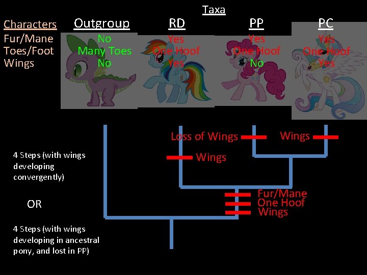 Characters Fur/Mane Toes/Foot Wings Outgroup No Many Toes No RD Taxa Yes One Hoof