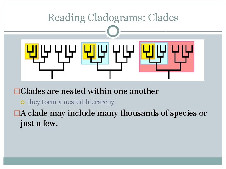 Reading Cladograms: Clades �Clades are nested within one another they form a nested hierarchy.