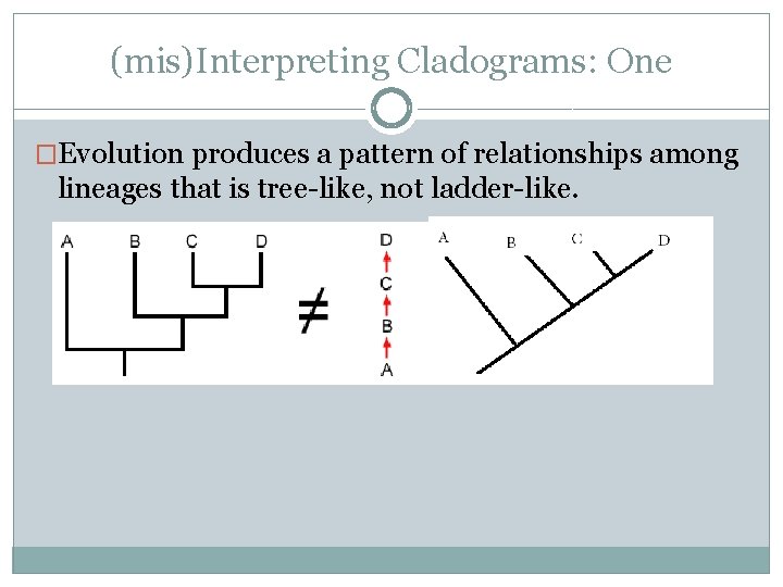 (mis)Interpreting Cladograms: One �Evolution produces a pattern of relationships among lineages that is tree-like,