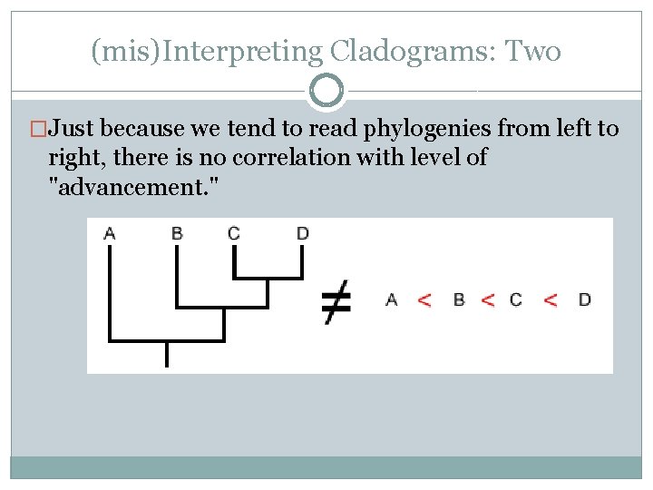 (mis)Interpreting Cladograms: Two �Just because we tend to read phylogenies from left to right,