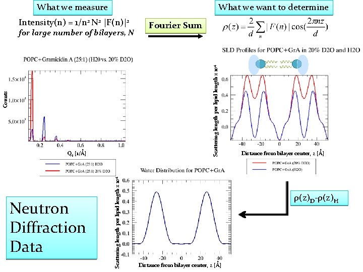 What we measure What we want to determine Intensity(n) = 1/n 2 N 2