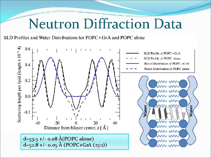 Neutron Diffraction Data ° d=53. 5 +/- 0. 08 Å(POPC alone) d=52. 8 +/-