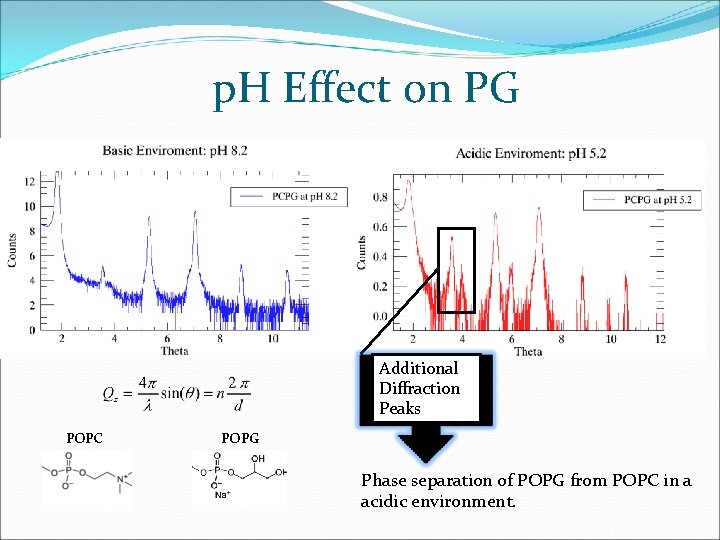 p. H Effect on PG Additional Diffraction Peaks POPC POPG Phase separation of POPG