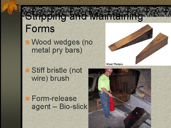 Stripping and Maintaining Forms n Wood wedges (no metal pry bars) n Stiff bristle