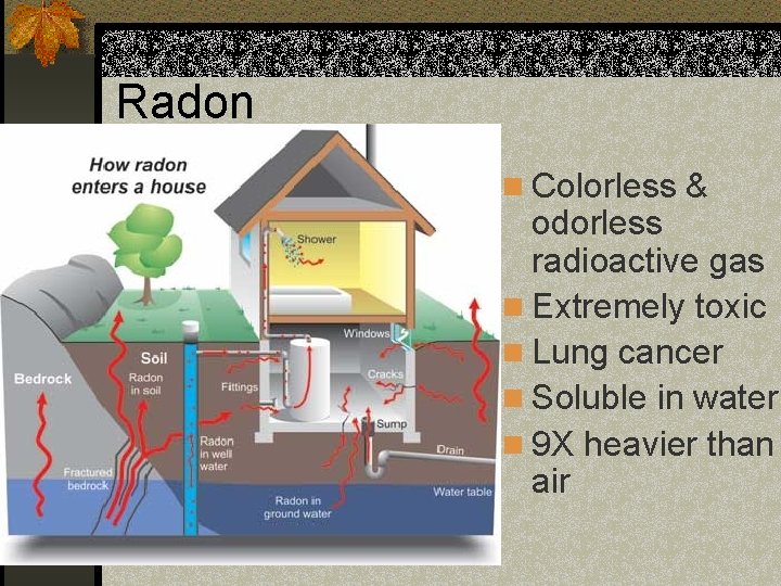 Radon n Colorless & odorless radioactive gas n Extremely toxic n Lung cancer n