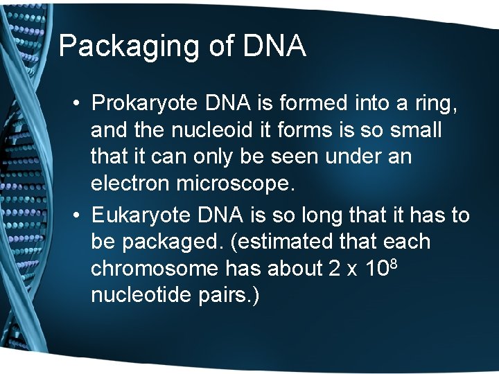 Packaging of DNA • Prokaryote DNA is formed into a ring, and the nucleoid