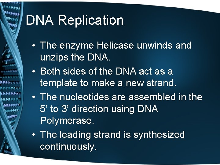 DNA Replication • The enzyme Helicase unwinds and unzips the DNA. • Both sides