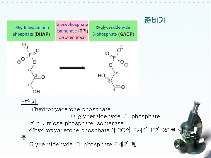 준비기 5단계. Dihydroxyacetone phosphate ↔ glyceraldehyde-3 -phosphate 효소 : triose phosphate isomerase dihydroxyacetone phosphate의