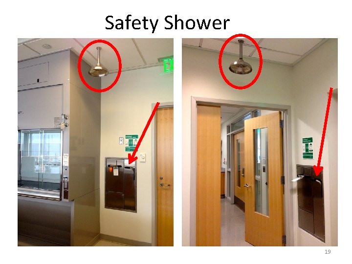 Safety Shower 19 