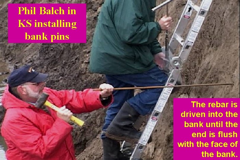 Phil Balch in KS installing bank pins The rebar is driven into the bank