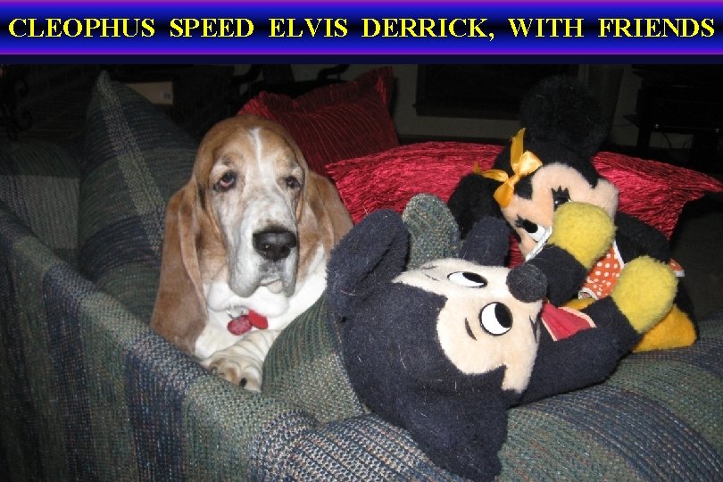 CLEOPHUS SPEED ELVIS DERRICK, WITH FRIENDS 
