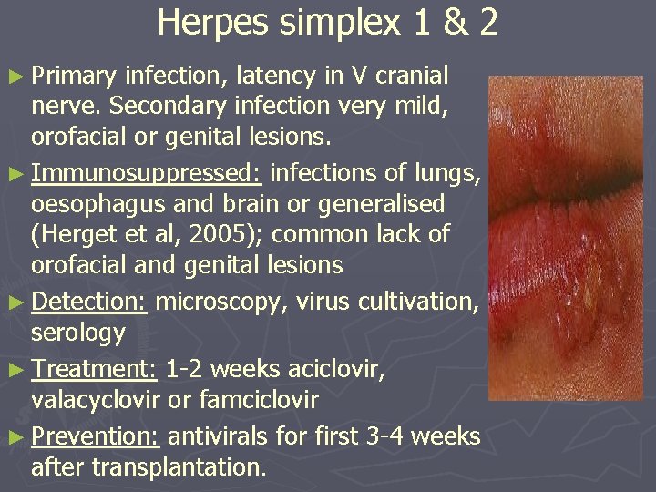 Herpes simplex 1 & 2 ► Primary infection, latency in V cranial nerve. Secondary