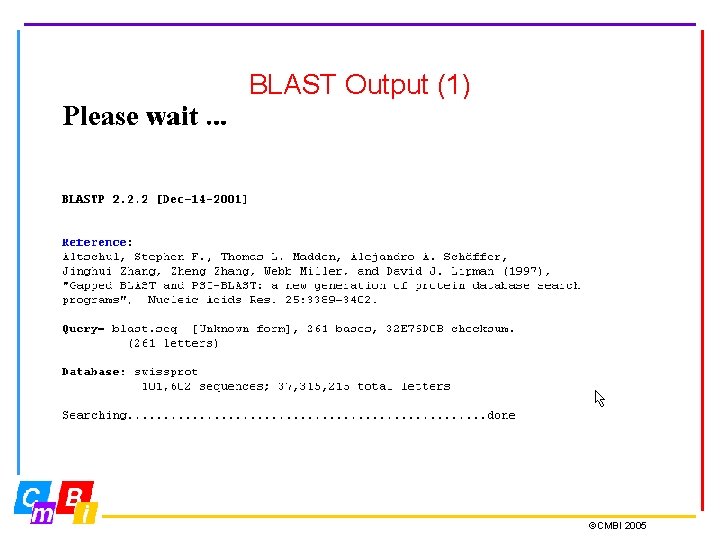 BLAST Output (1) ©CMBI 2005 