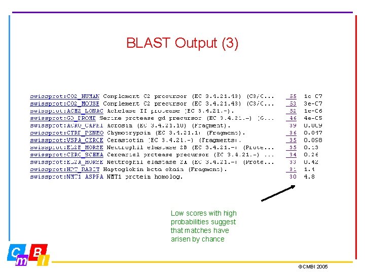 BLAST Output (3) Low scores with high probabilities suggest that matches have arisen by