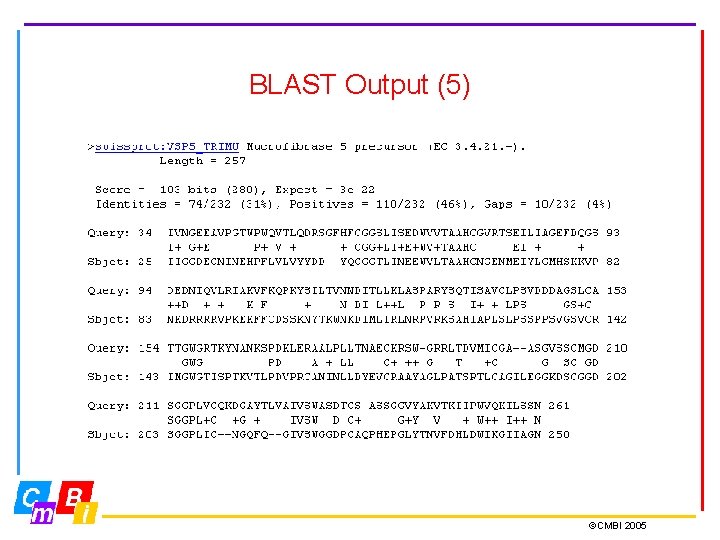 BLAST Output (5) ©CMBI 2005 