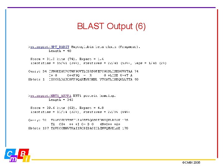 BLAST Output (6) ©CMBI 2005 