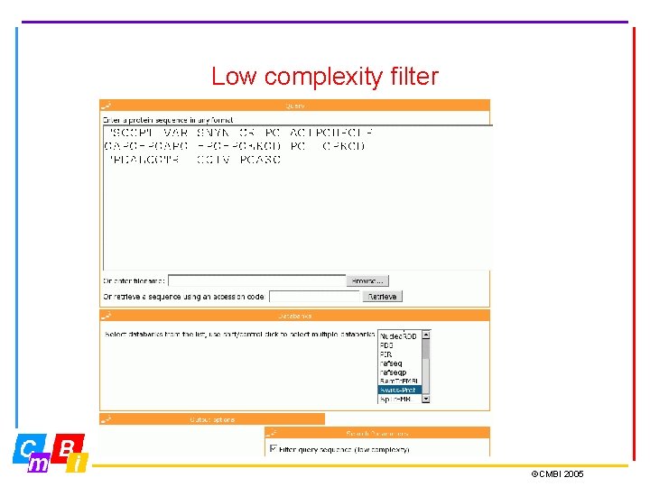 Low complexity filter ©CMBI 2005 