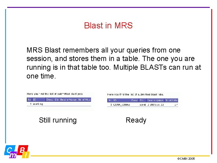 Blast in MRS Blast remembers all your queries from one session, and stores them