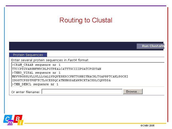 Routing to Clustal ©CMBI 2005 