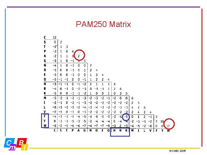 PAM 250 Matrix ©CMBI 2005 