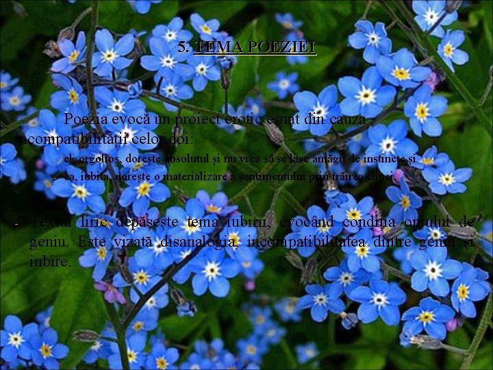 5. TEMA POEZIEI Poezia evocă un proiect erotic eșuat din cauza incompatibilității celor doi: 5. TEMA POEZIEI Poezia evocă un proiect erotic eșuat din cauza incompatibilității celor doi: