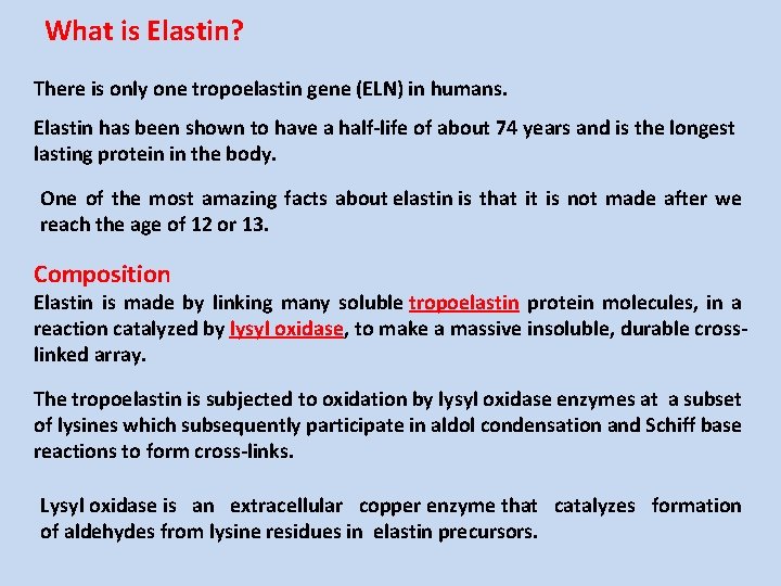 What is Elastin? There is only one tropoelastin gene (ELN) in humans. Elastin has