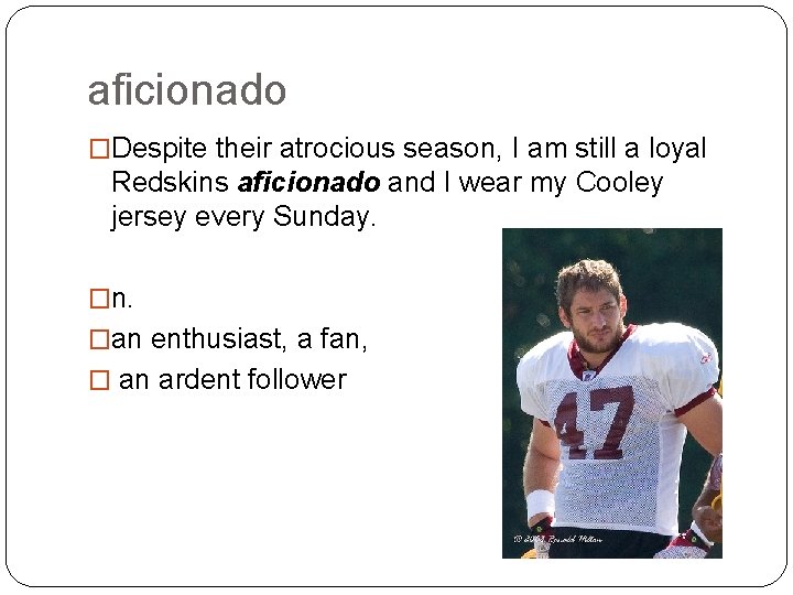 aficionado �Despite their atrocious season, I am still a loyal Redskins aficionado and I