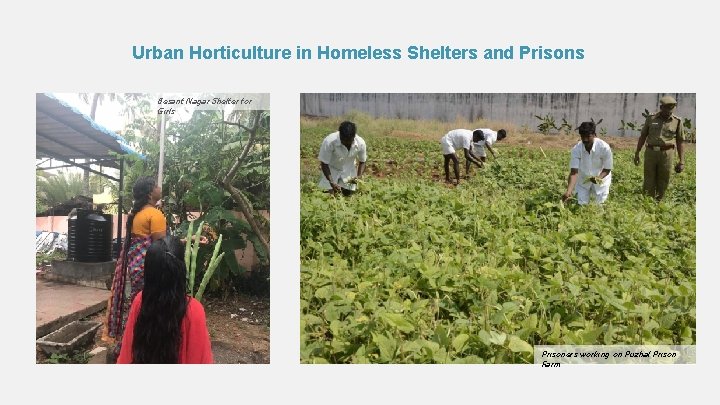 Urban Horticulture in Homeless Shelters and Prisons Besant Nagar Shelter for Girls Prisoners working