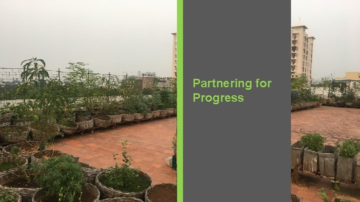 Partnering for Progress 