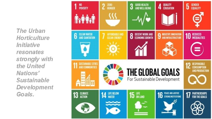 The Urban Horticulture Initiative resonates strongly with the United Nations’ Sustainable Development Goals. 