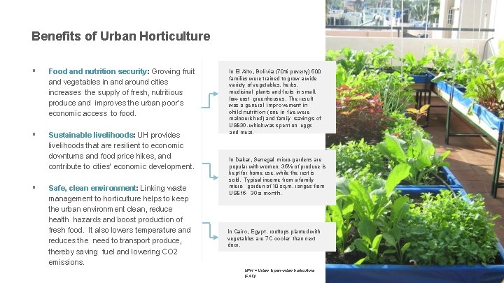 Benefits of Urban Horticulture Food and nutrition security: Growing fruit and vegetables in and