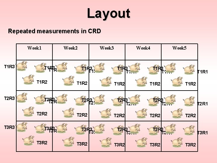 Layout Repeated measurements in CRD Week 1 T 1 R 3 Week 2 T