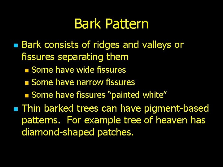 Bark Pattern n Bark consists of ridges and valleys or fissures separating them n