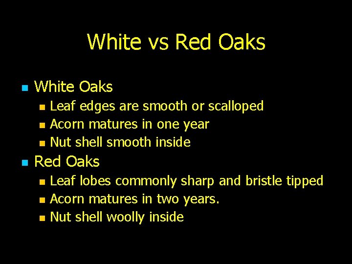 White vs Red Oaks n White Oaks n n Leaf edges are smooth or