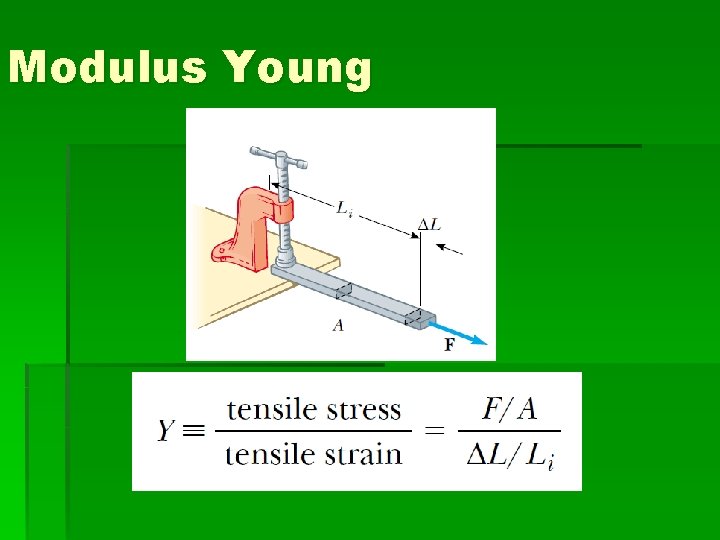 Modulus Young 