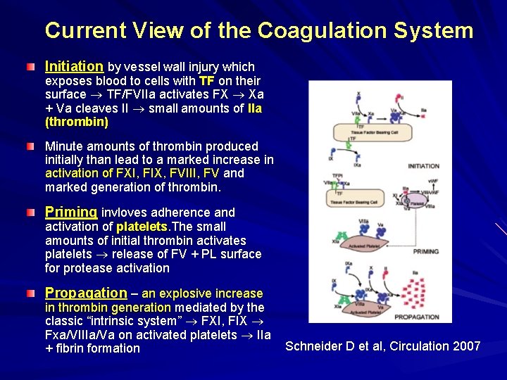 Current View of the Coagulation System Initiation by vessel wall injury which exposes blood